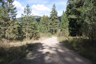 0 Methow Ranch Rd Unit 549166, Winthrop, WA 98862