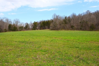 850 Melson Ridge Rd, Fairplay, KY 42728