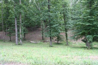 Lot 6 Cypress Dr, Dandridge, TN 37725