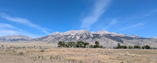 TBD 5500 N, MacKay, ID 83251