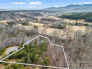 146 Wee Burn Cove, Mill Spring, NC 28756