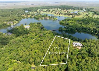 117 Harris Ln, St. Simons Island, GA 31522
