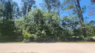 303 Palm Way, Georgetown Cove, FL 32139
