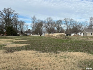 Lot 4 N College St, Salem, IL 62881