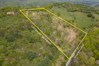 12.37 Acre Dutch Hollow Rd, Raphine, VA 24472