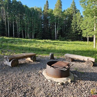 1205 Hazel Lake Dr, Cimarron, CO 81220