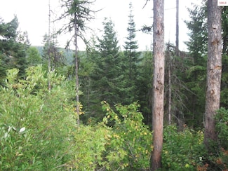 10 Parallel Run, Sandpoint, ID 83864