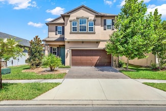 9782 Coneflower Ct, Land O' Lakes, FL 34637
