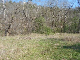 Tbd 333- State N, Eminence, MO 65466