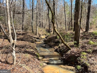TRACT R3 Hulmes Chapel Rd, Elberton, GA 30635