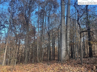 LOTS 10 & 11 Candle St, West Jefferson, NC 28694
