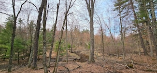 0 Elker Rd, Merrillan, WI 54754