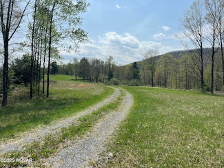 10793 Rose Valley Rd, Trout Run, PA 17771