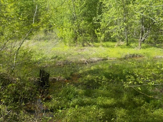 0 Steve Brown Rd Unit 703547, Bean Station, TN 37708