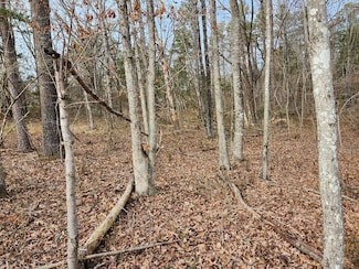 0 W James Anderson Hwy Unit 57428, Buckingham, VA 24553