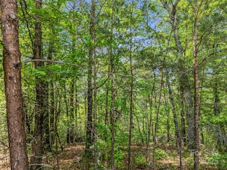 4 Woodward Dr, Mill Spring, NC 28756