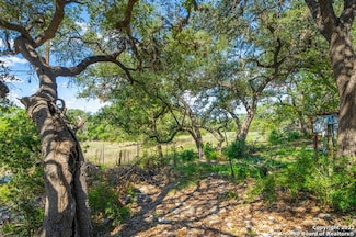 933 Parkview Dr, Canyon Lake, TX 78133