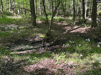 TBD Martin Rd, Chapin, SC 29036