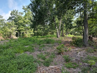 0 Rivendell Unit RTC2539996, Beechgrove, TN 37018