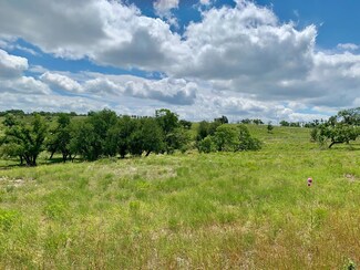 Lot 14 Badger Ridge Rd Unit 14, Fredericksburg, TX 78624