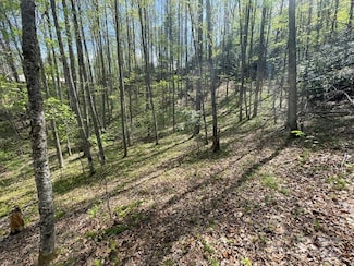 0000 Cawood Ln, Clyde, NC 28721