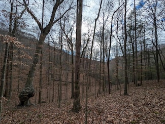 41 Apache Rd, Jamestown, TN 38556