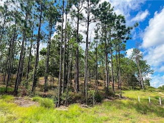 0 State Highway 225 Unit 7530001, Bay Minette, AL 36507