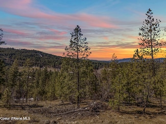 NKA S Carpenter Loop, Post Falls, ID 83854