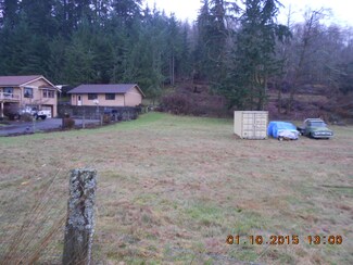 0 Farm St Unit 730271, Carbonado, WA 98323