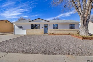307 Meadowlark Rd, Florence, CO 81226