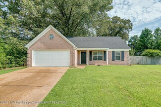 6146 Hallum Dr, Walls, MS 38680