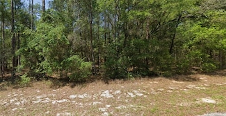 8566 N Spikes Way, Citrus Springs, FL 34434