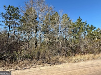0 (Lot 3) Elmer Thrift Rd, Waycross, GA 31503