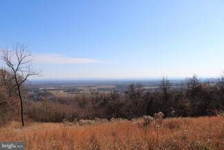 21.66 acres Off Trinity Church Rd & Reelbirch, Martinsburg, WV 25403