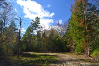 238 Wiggin Rd, Danbury, NH 03230