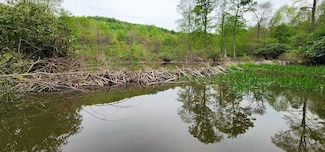 0 Grassy Creek, Nettie, WV 26676