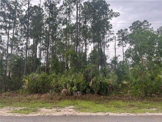 0 10th Ave SE Unit 224050939, Naples, FL 34117