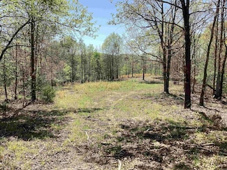TBD Tract 3 N Chaparral Ln, Mena, AR 71953
