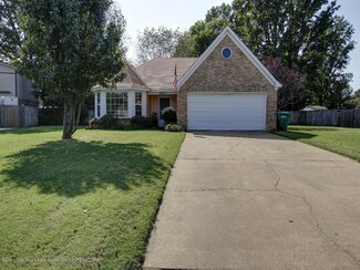 6957 Fox Briar Cove, Walls, MS 38680