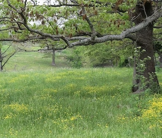 2482 SE Rocky Comfort Rd, Gentry, AR 72734