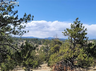 84 Victor Cir, Florissant, CO 80816