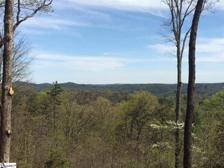 155 Cherokee Rose Trail Unit CMP-1-158, Marietta, SC 29661