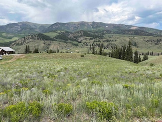 1267 & 1271 Whiskey Ln, Creede, CO 81130