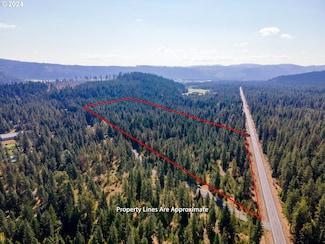 0 Stadelman Dr Unit 24407008, Trout Lake, WA 98650