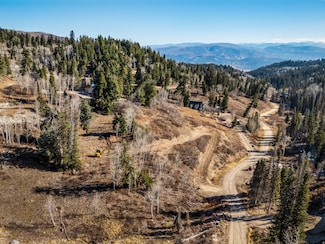 1678 W Alexander Canyon Rd Unit D-92, Coalville, UT 84017