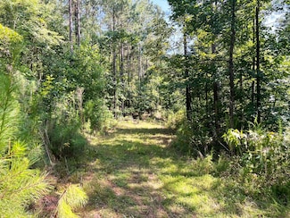 0 Booger Hollow Rd SW Unit 17969096, Lindale, GA 30147