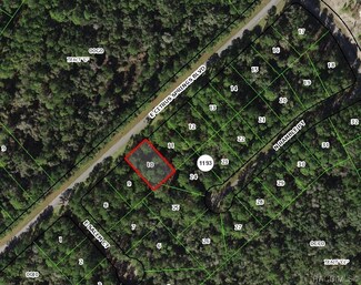 1136 E Citrus Springs Blvd, Dunnellon, FL 34434