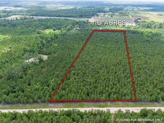 0 Sanderling Rd, Alma, GA 31510