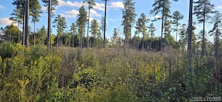 Lot 1 Christanna Hwy, Lawrenceville, VA 23868