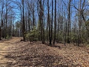 0 Overland Trail, Hayes, NC 28635